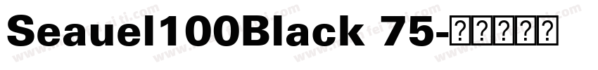 Seauel100Black 75字体转换